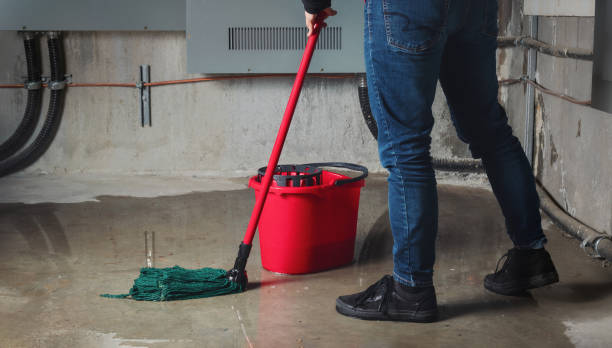 Best Water damage restoration near me  in Morehead, KY