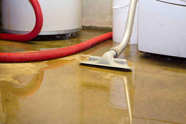 Best Fire Damage Restoration  in Morehead, KY